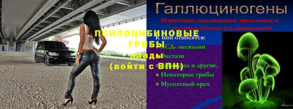 дживик Верхний Тагил